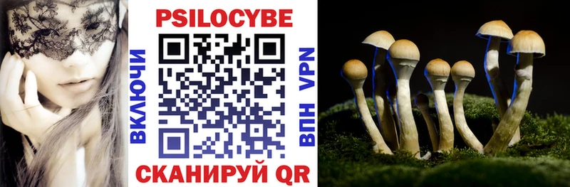 где продают наркотики  Сибай  Псилоцибиновые грибы Magic Shrooms 